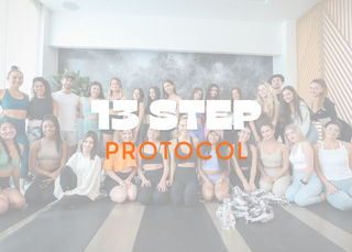 13 Step Protocol